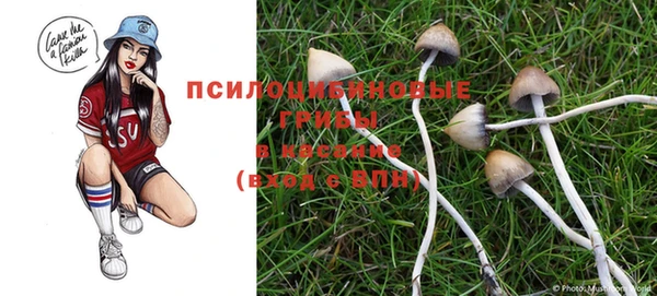 2c-b Абинск