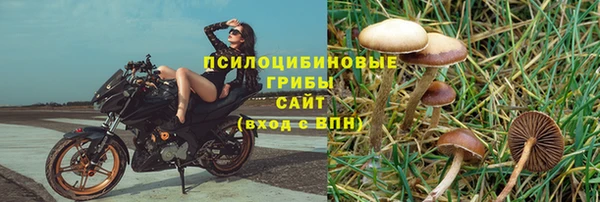кристаллы Абаза
