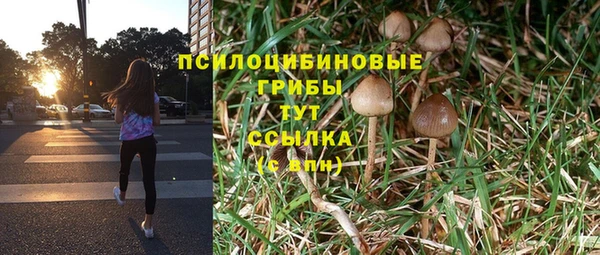 ГАЛЛЮЦИНОГЕННЫЕ ГРИБЫ Абдулино